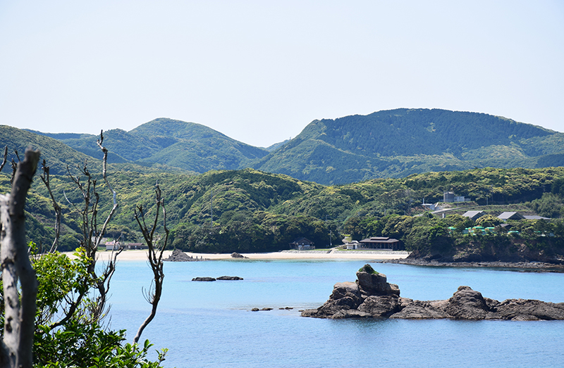 殿崎公園