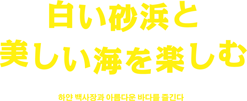 白い砂浜と美しい海を楽しむ