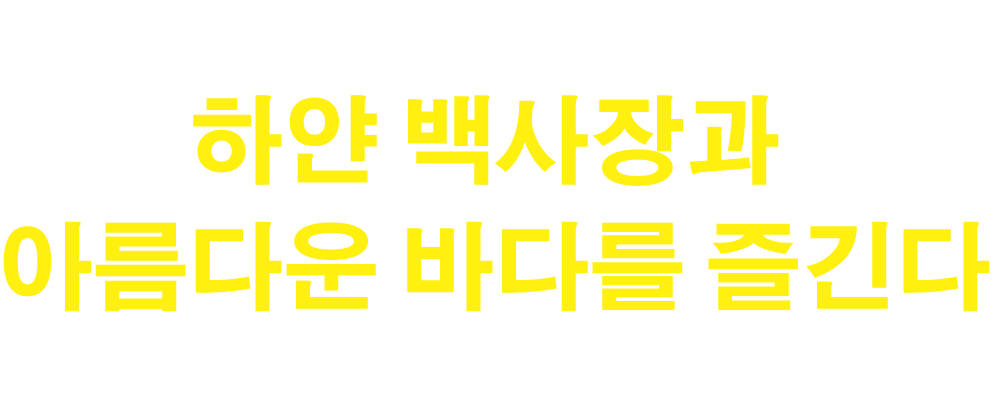 새하얀 모래사장과 아름다운 바다를 즐기다